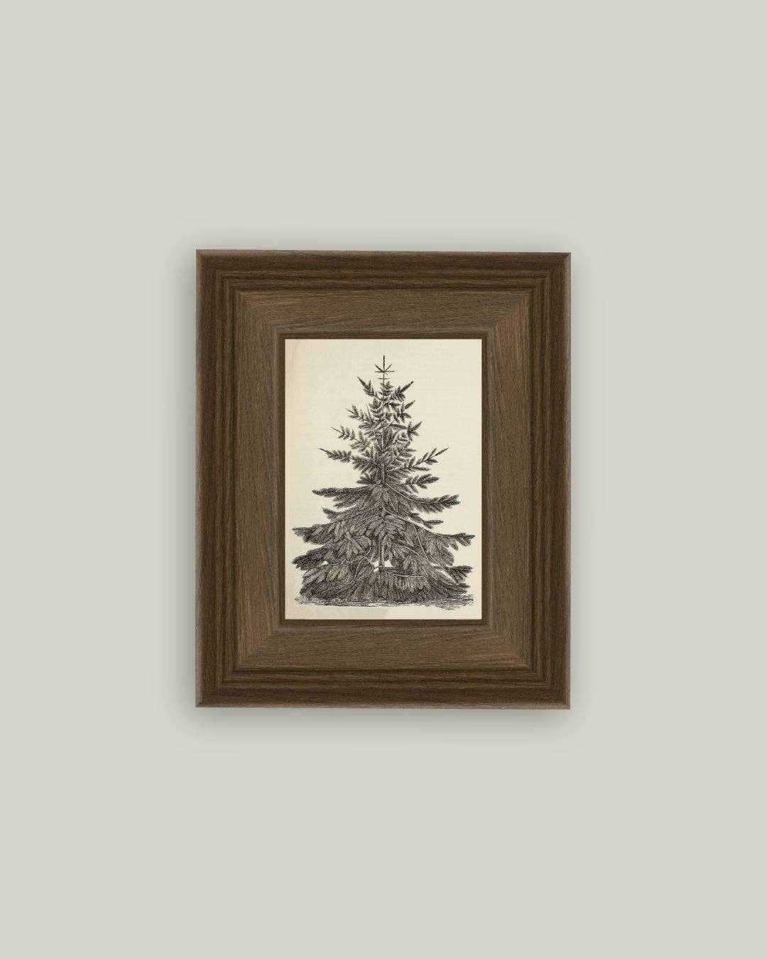 Vintage Pine Tree Framed Antique Art in Wood Frame
