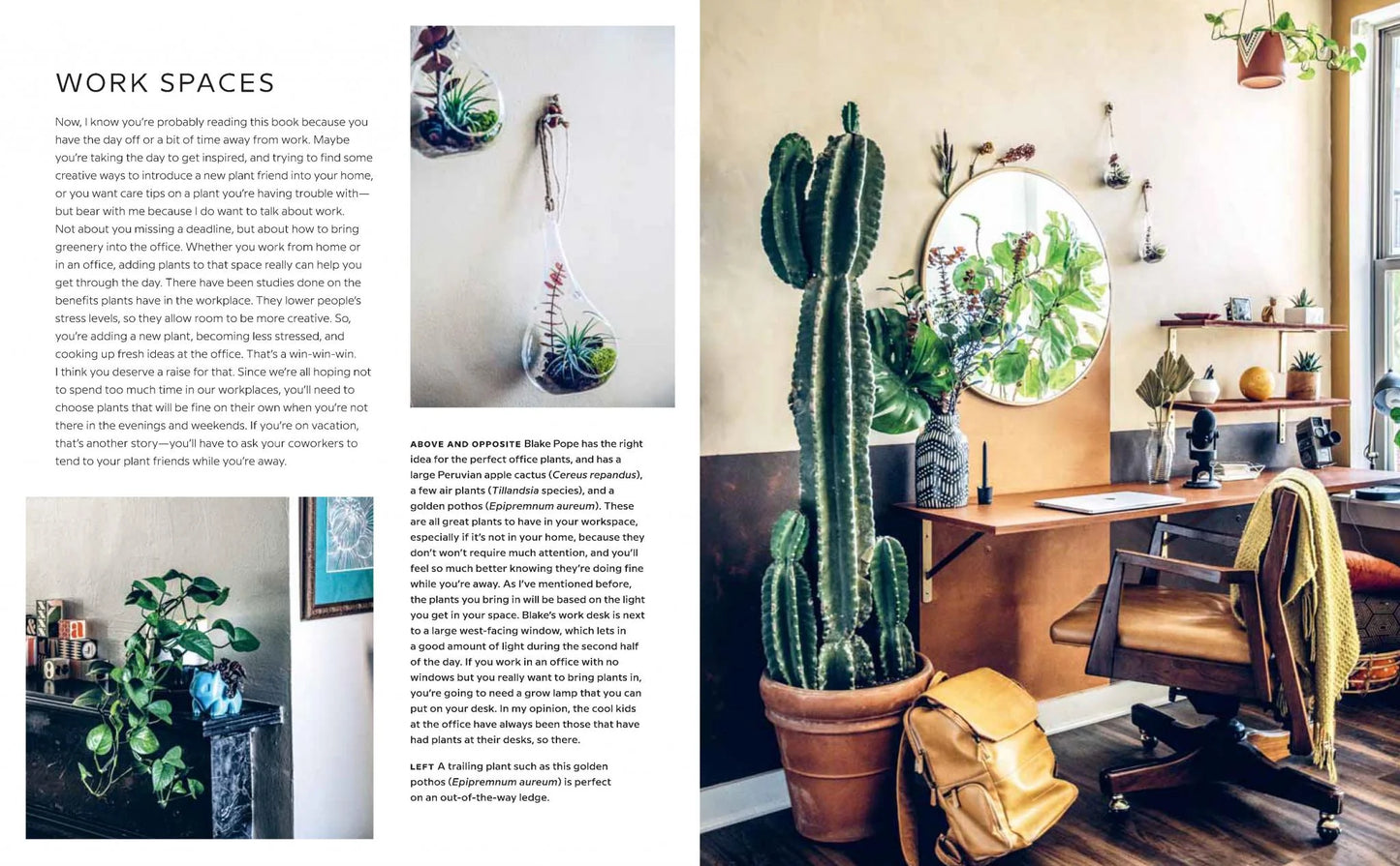 Wild Interiors Book