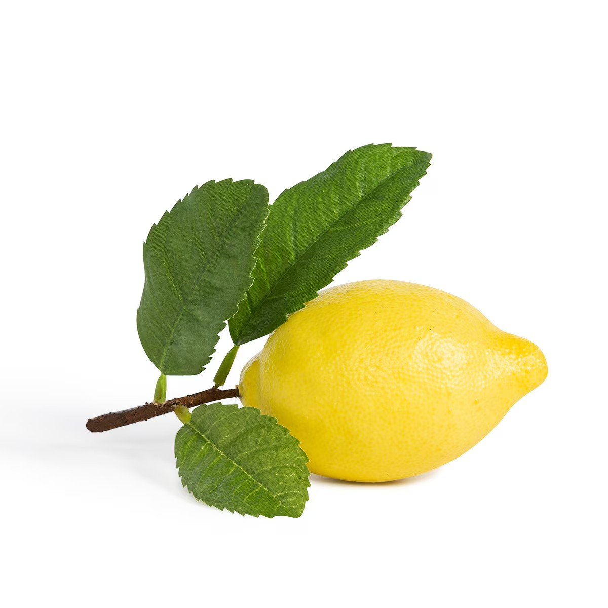 Lemon with Stem and Leaf