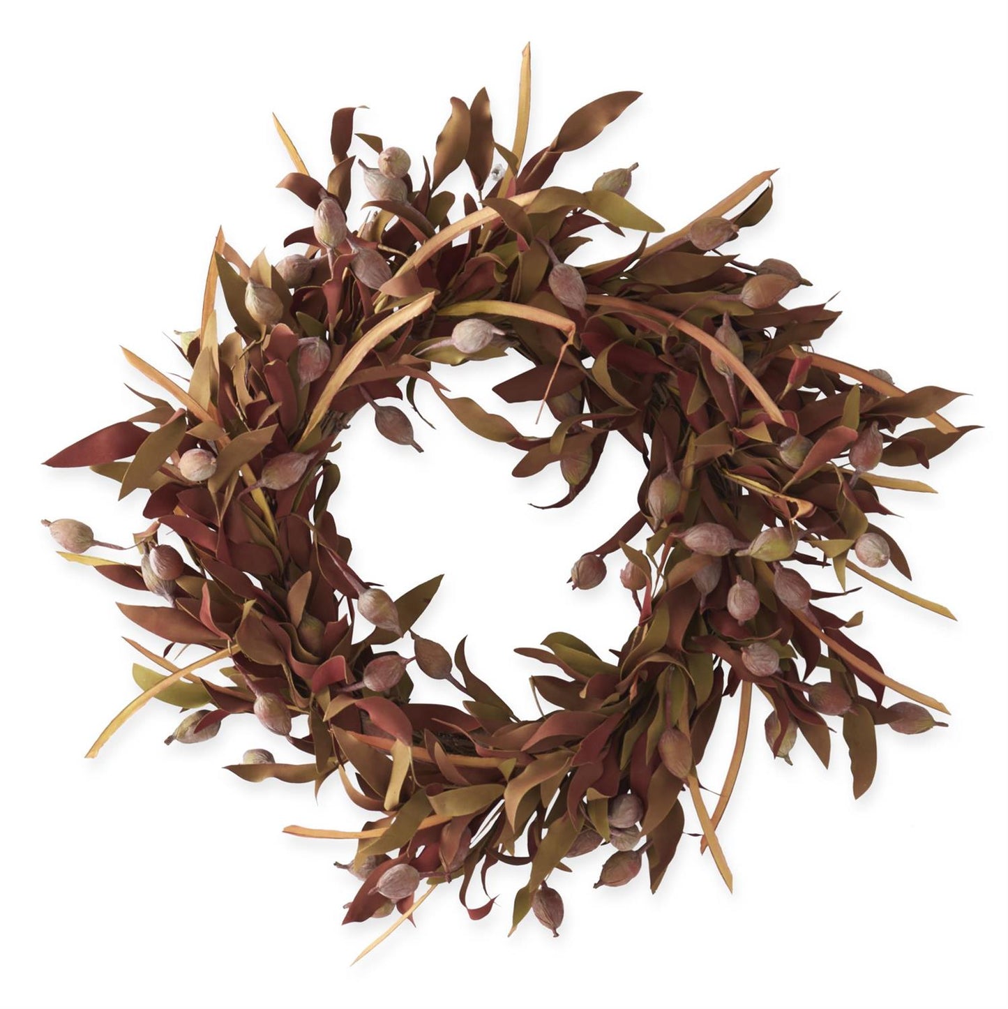 Yellow & Green Sleepy Silene Eva Wreath