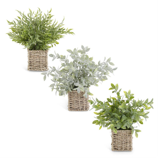 Faux Herbs in Square Woven Baskets