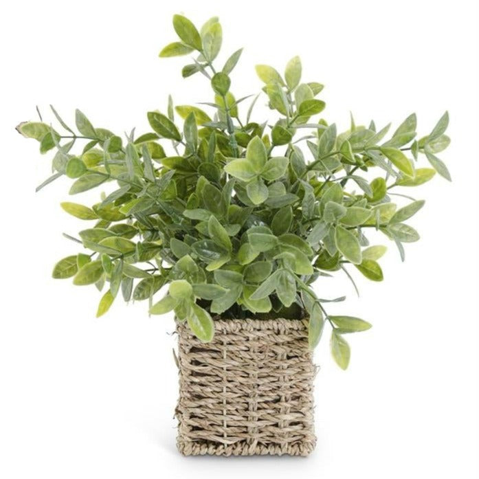 Faux Herbs in Square Woven Baskets