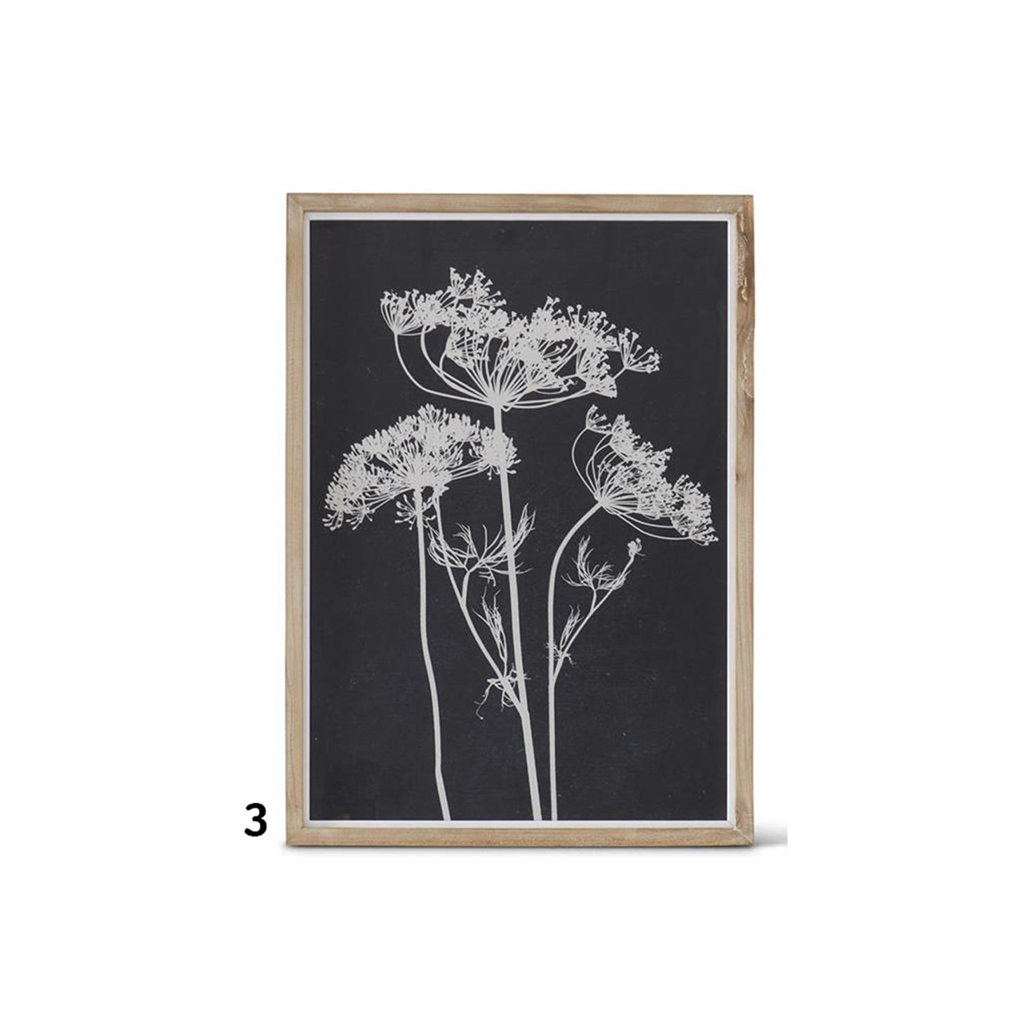 Wood Framed White Botanicals on Black Prints