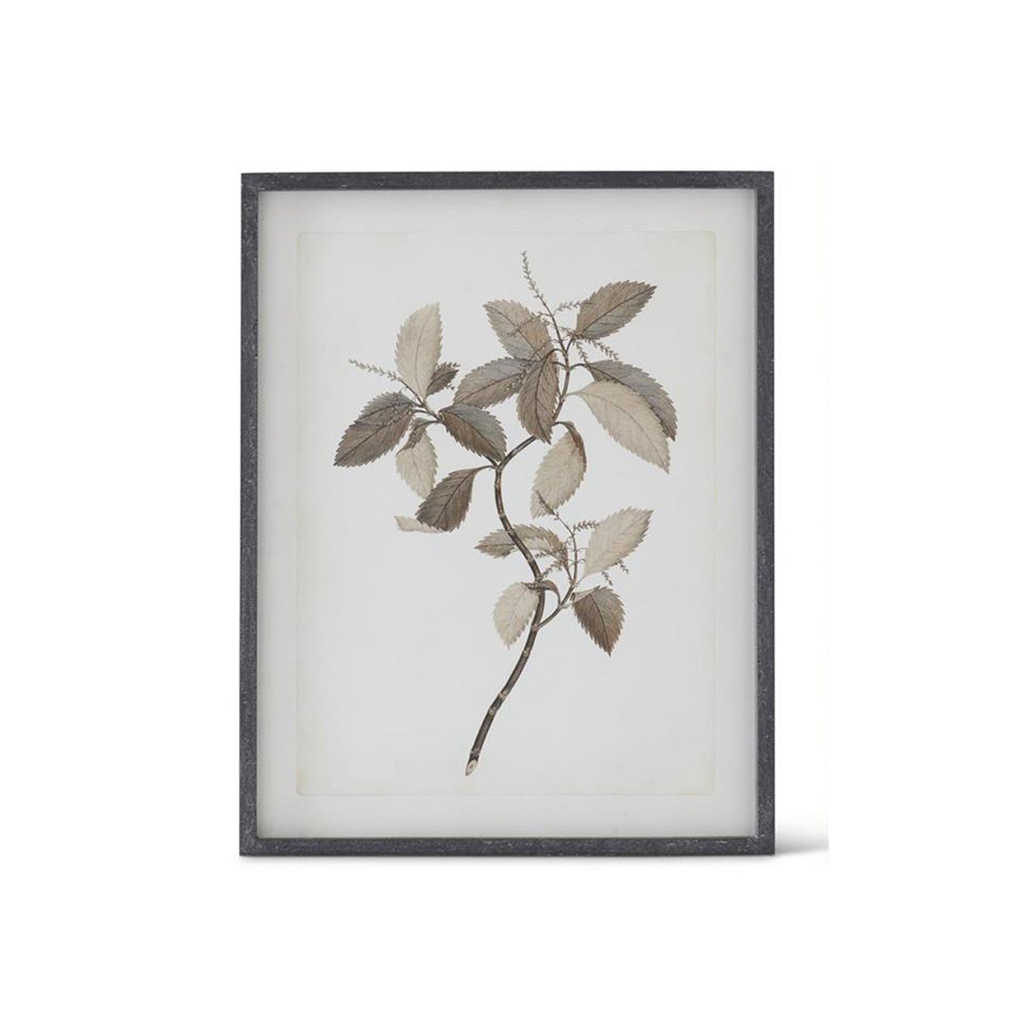 Botanical Prints with Black Wood Frame