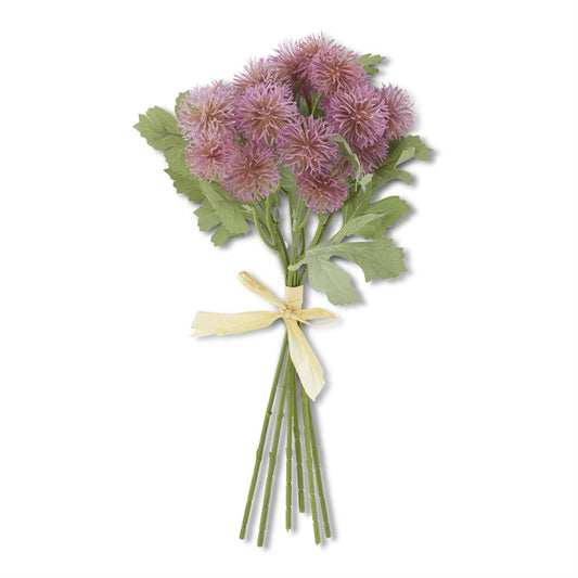 Purple Sycamore Fruit Ball Bundle