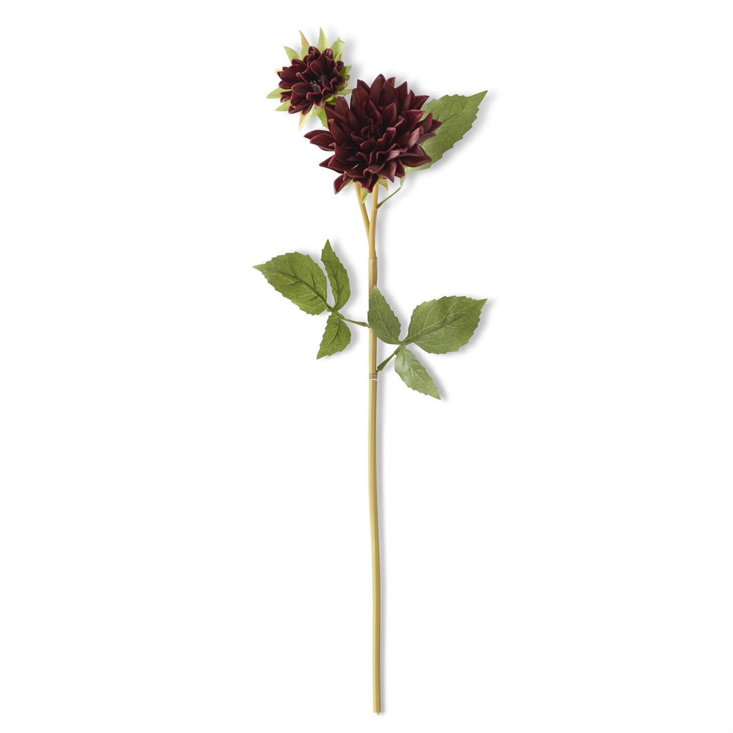 24 Inch Real Touch Burgundy Blossom & Bud Dahlia Stem