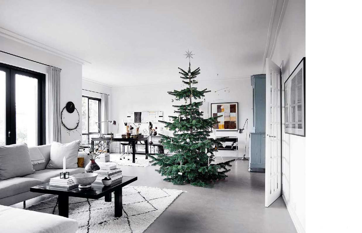 The Christmas Season Book