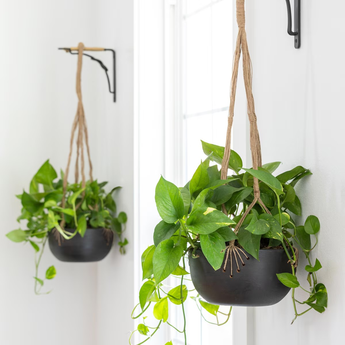 Terra Cotta and Woven Jute Hanging Planter