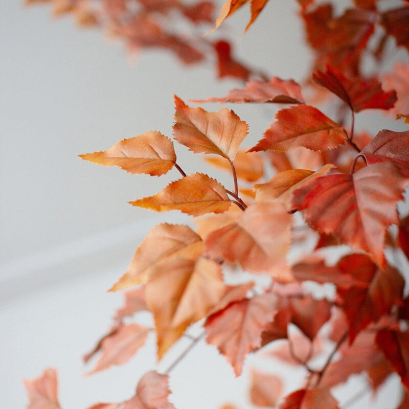 Autumn leaves with a blurred background