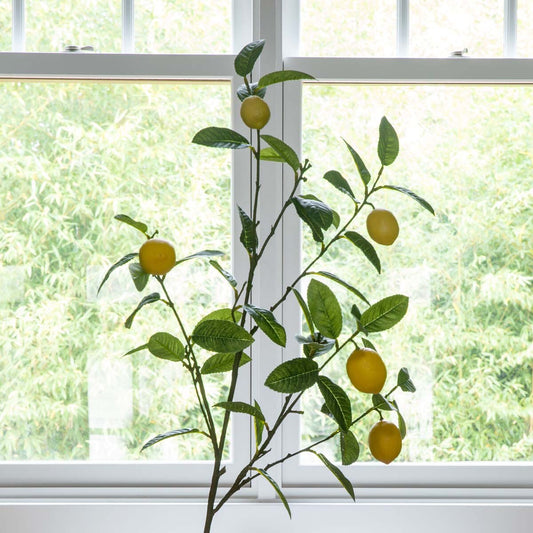 Faux Lemon Branch