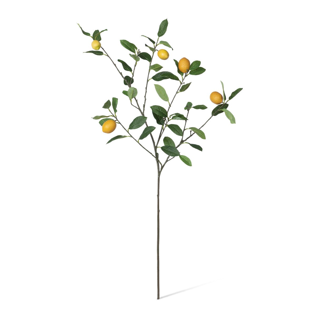 Faux Lemon Branch