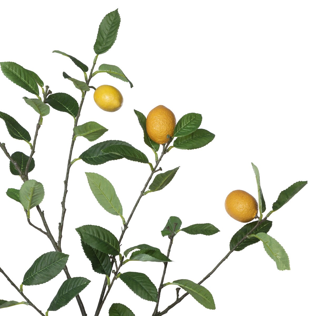 Faux Lemon Branch