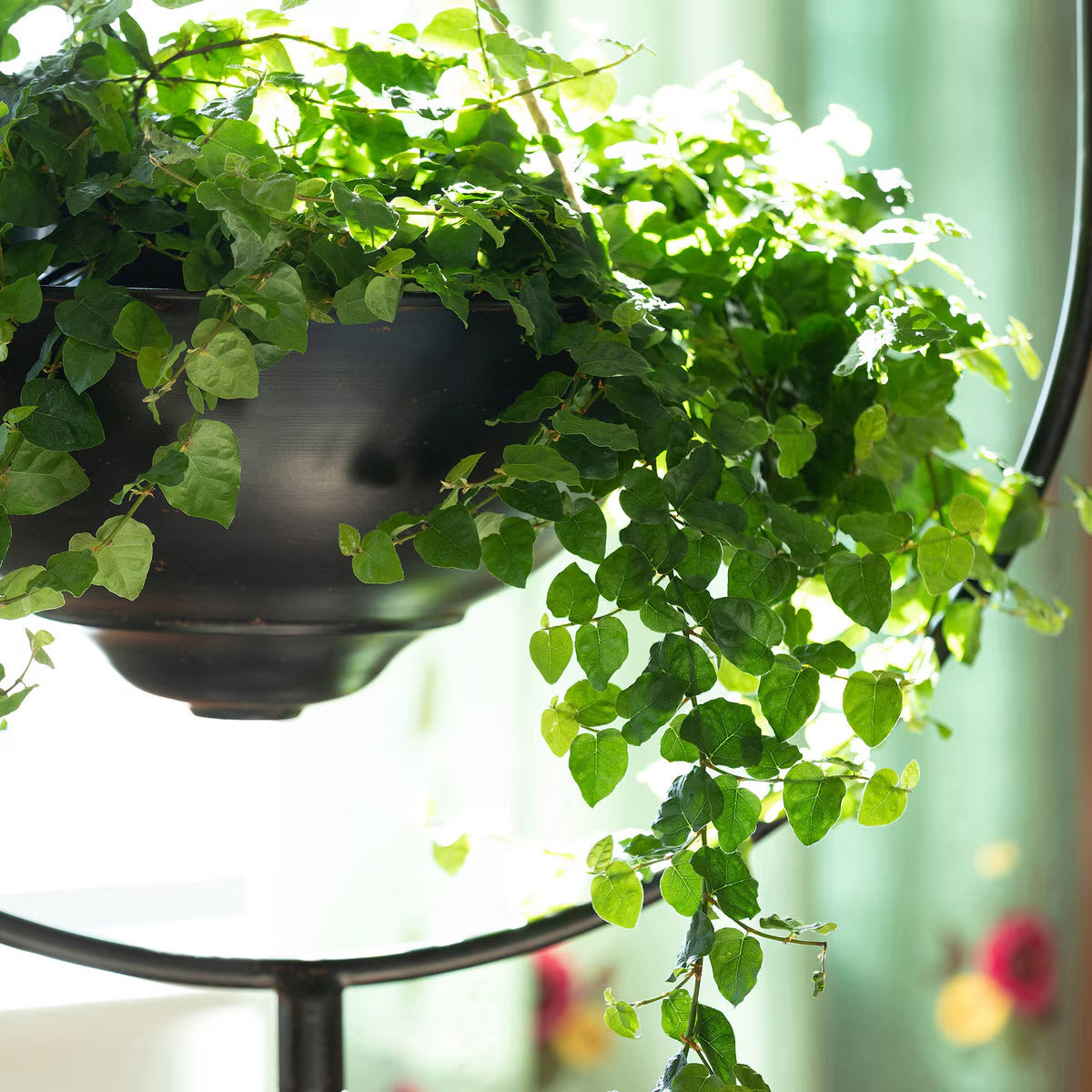 Spherical Iron Plant Stand