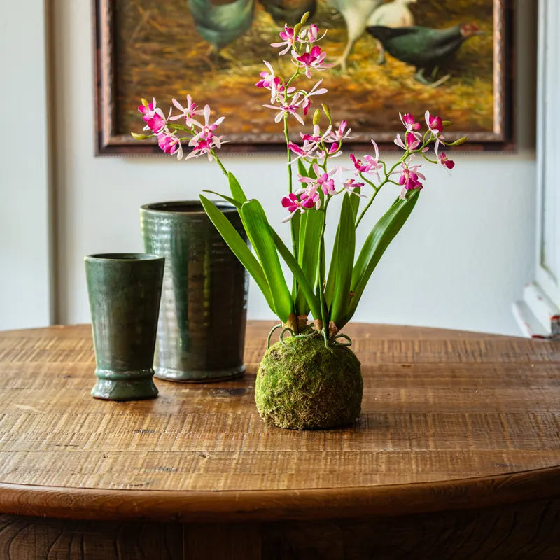 Faux Vanda Orchid w/ Large Moss Ball Base