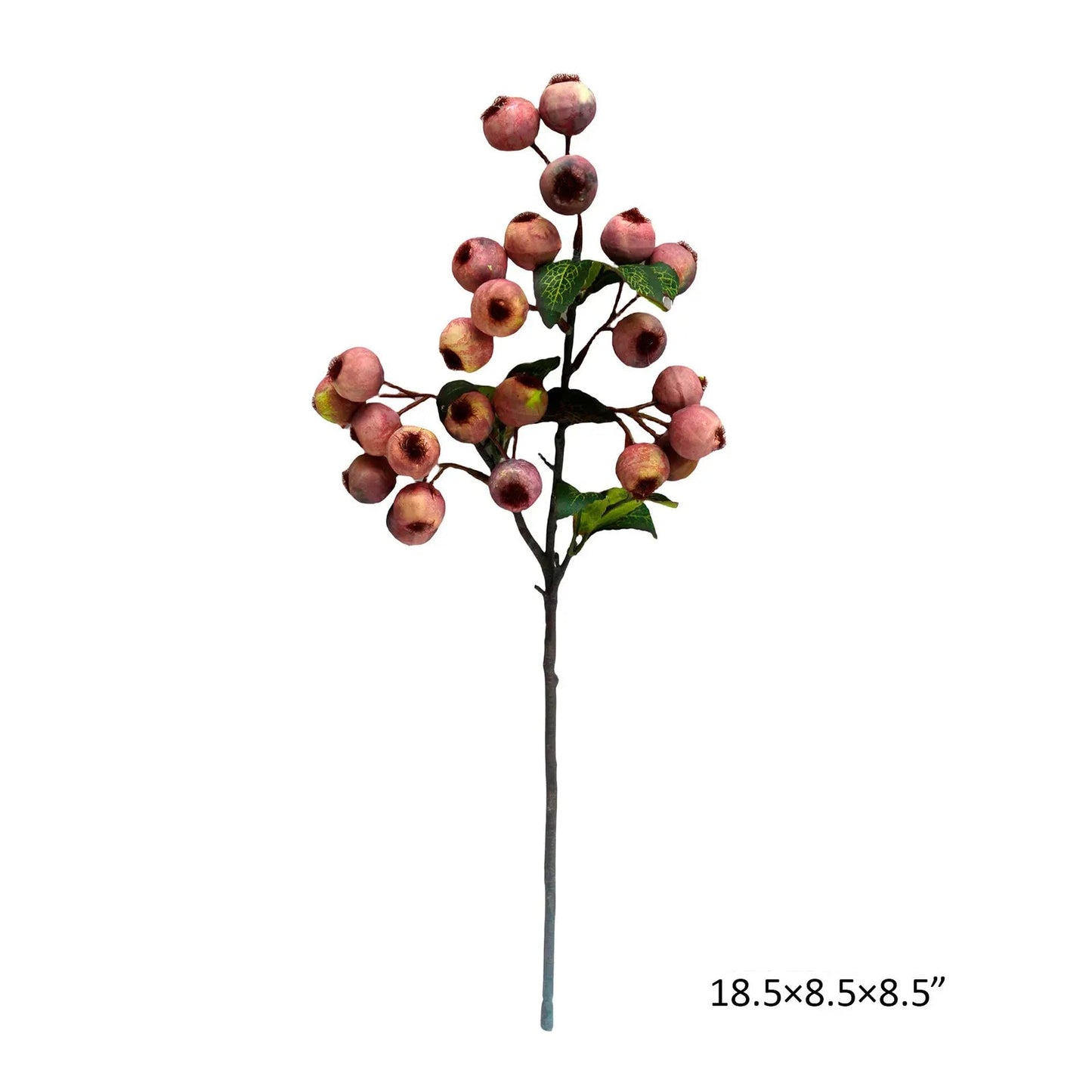 Crabapple Pink Stem