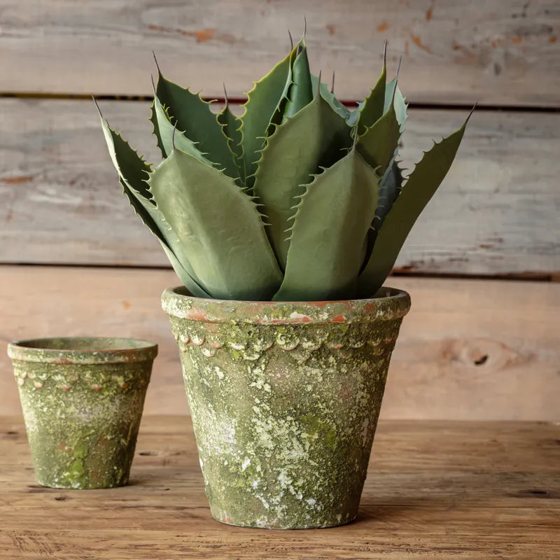 Potted Artichoke Agave Faux Plant