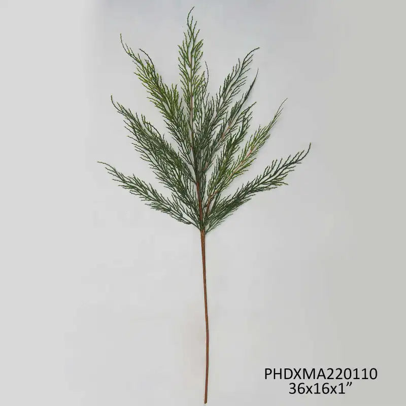 Native Cedar Stem