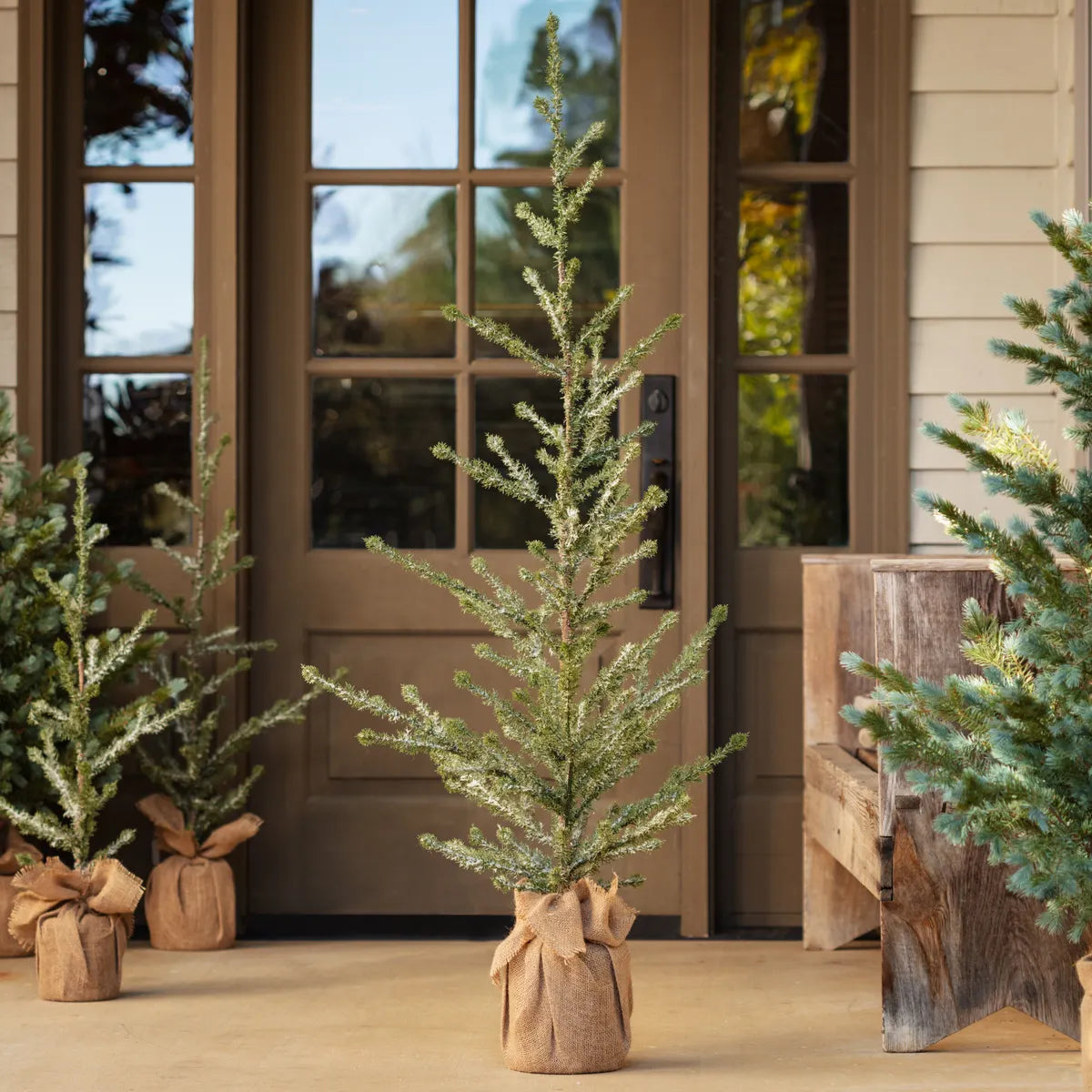 Large Iced Alpine Tree