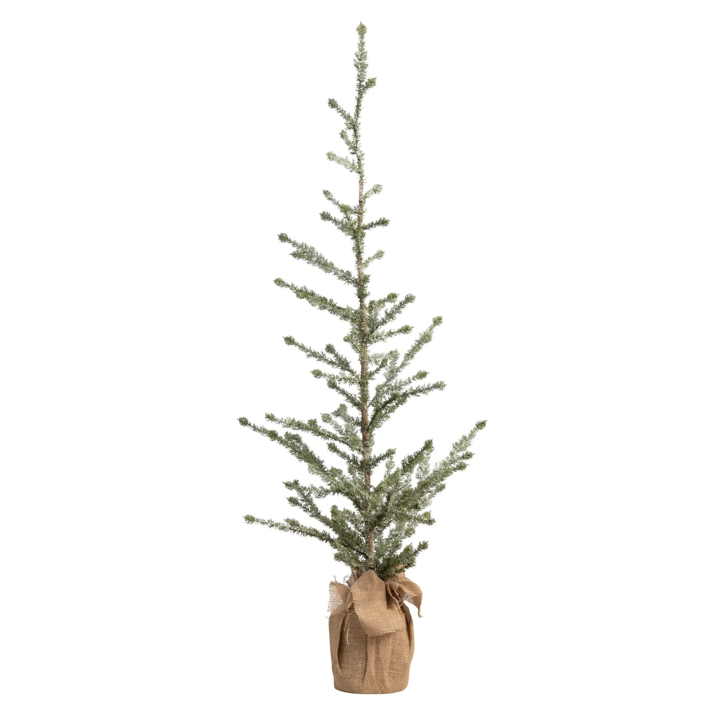 Large Iced Alpine Tree