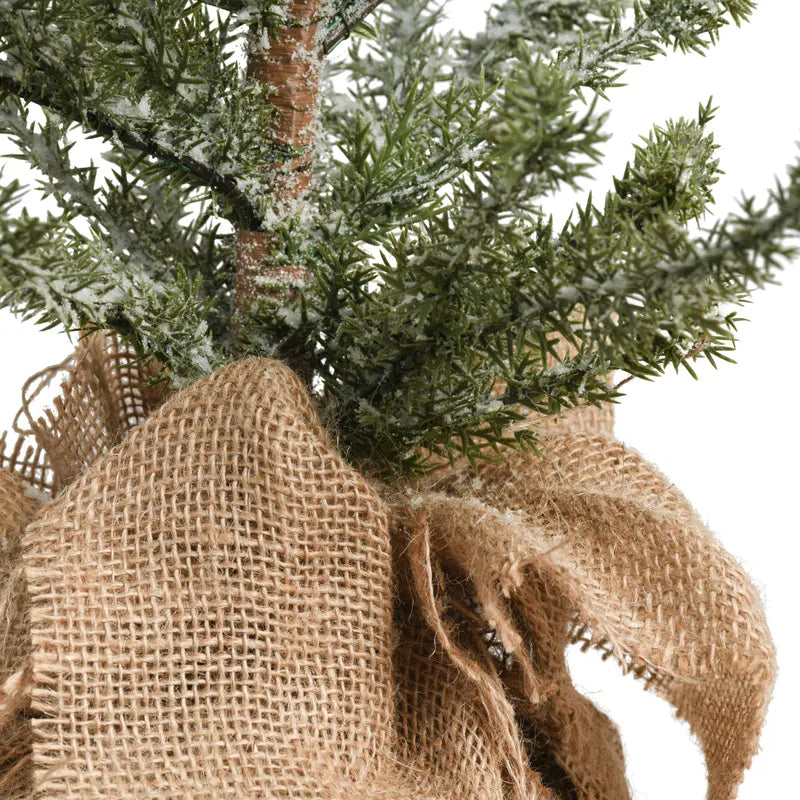 Large Iced Alpine Tree