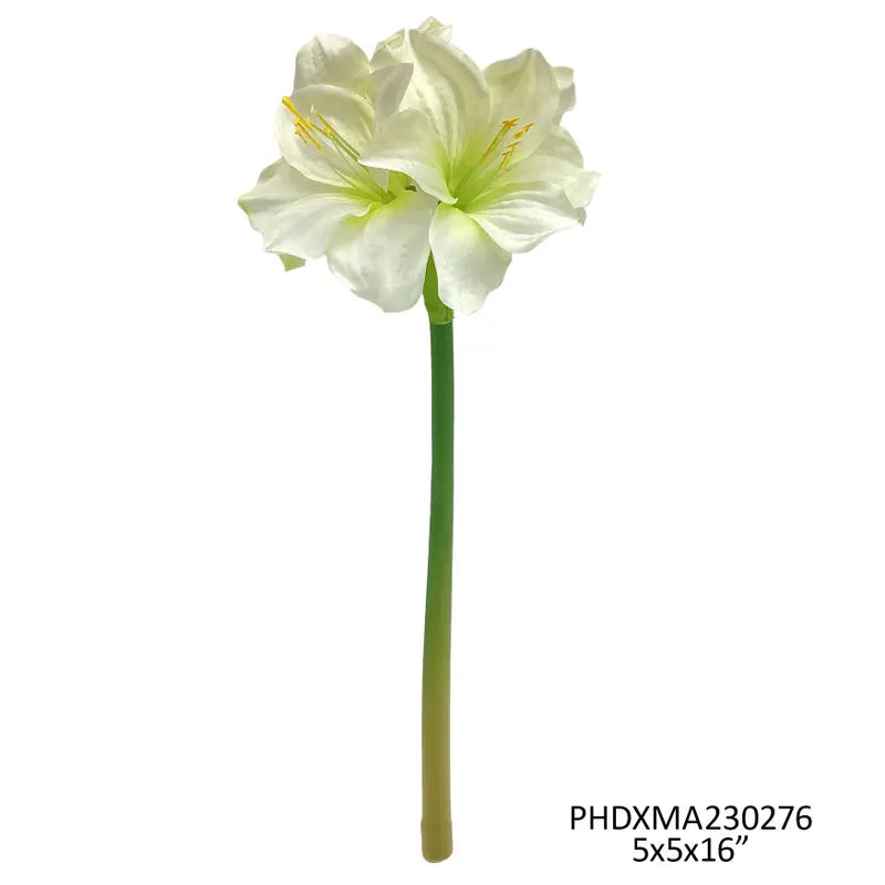White Grand Amaryllis Stem