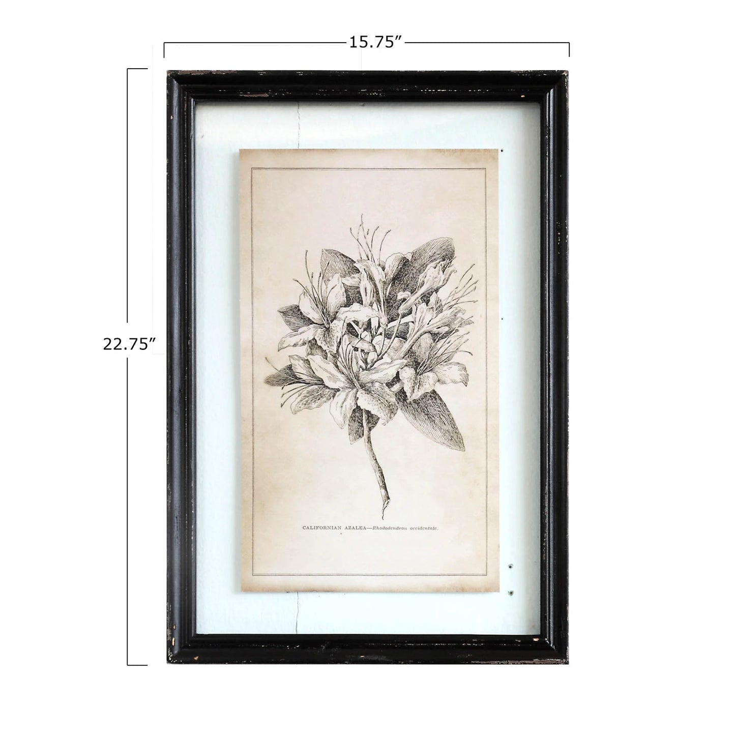 Black Framed Wall Decor with Floral Image