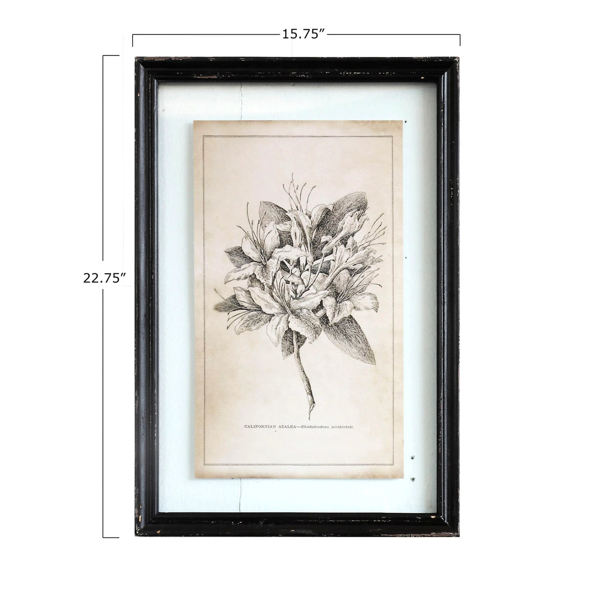 Black Framed Wall Decor with Floral Image