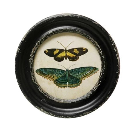 Round Butterfly/Moth Prints