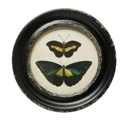 Round Butterfly/Moth Prints