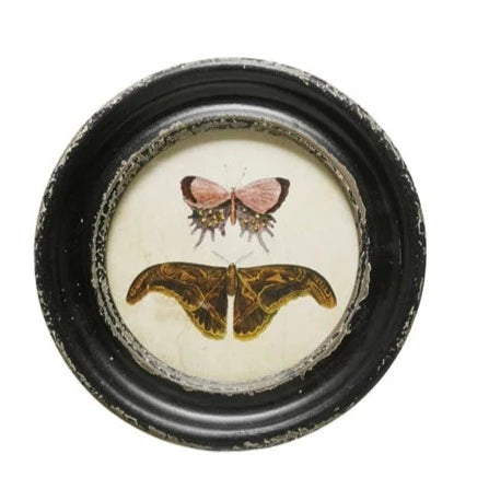 Round Butterfly/Moth Prints
