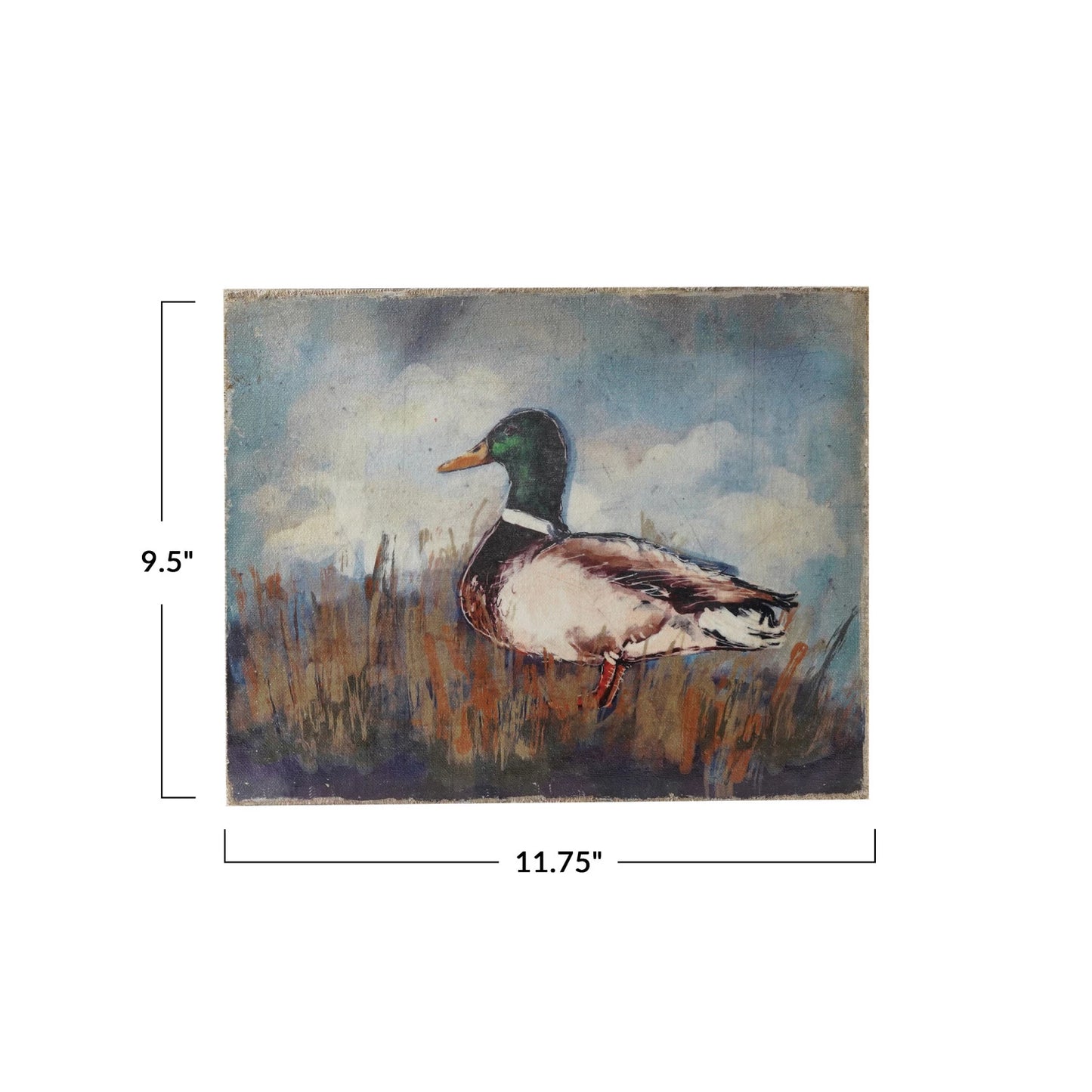 Duck Canvas Wall Décor