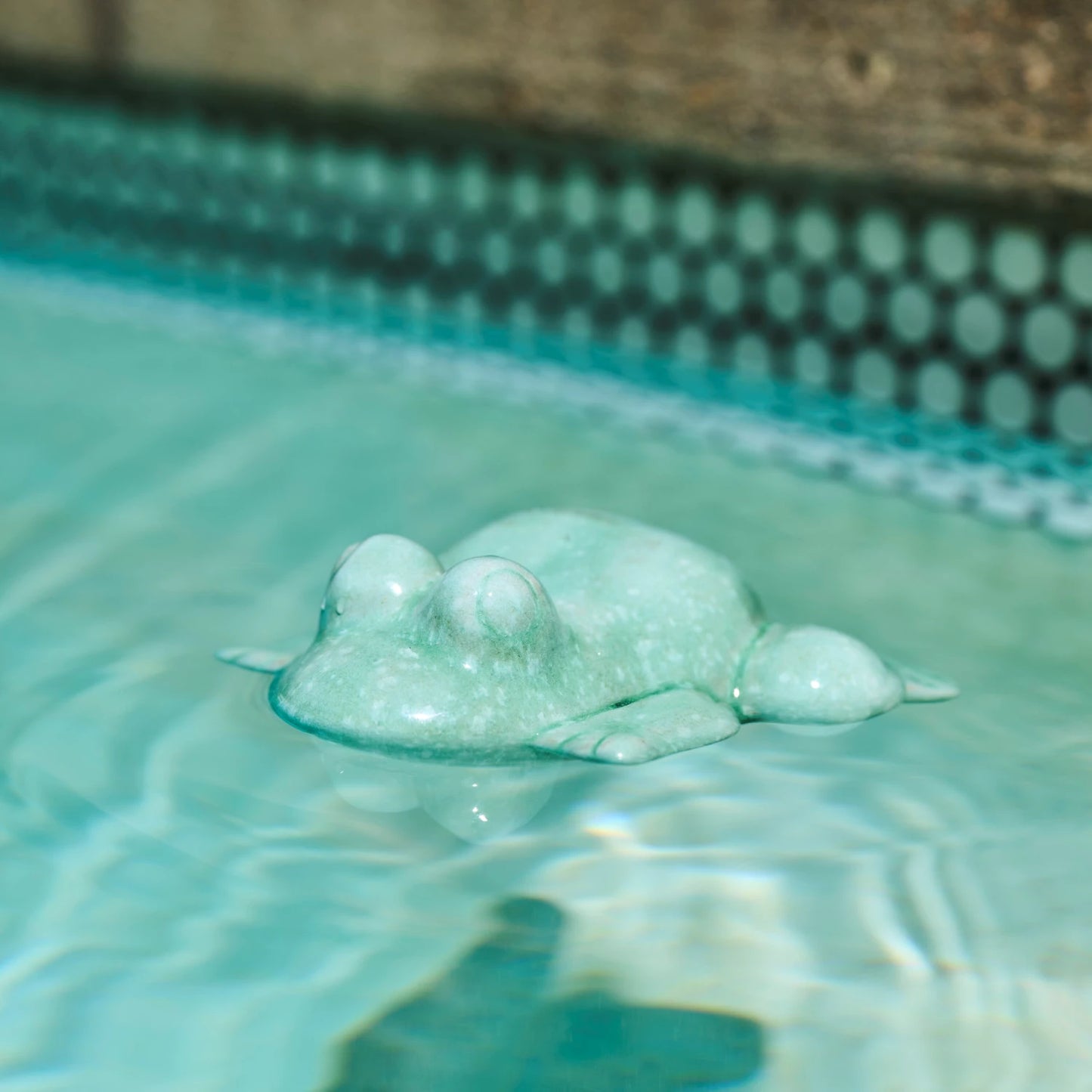 Floating Ceramic Frog | Aqua