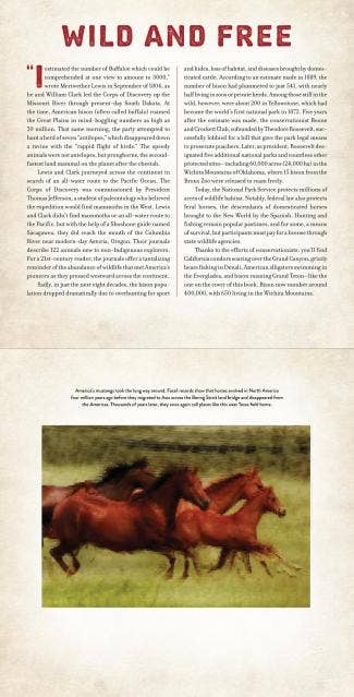 America: A Photicular Book