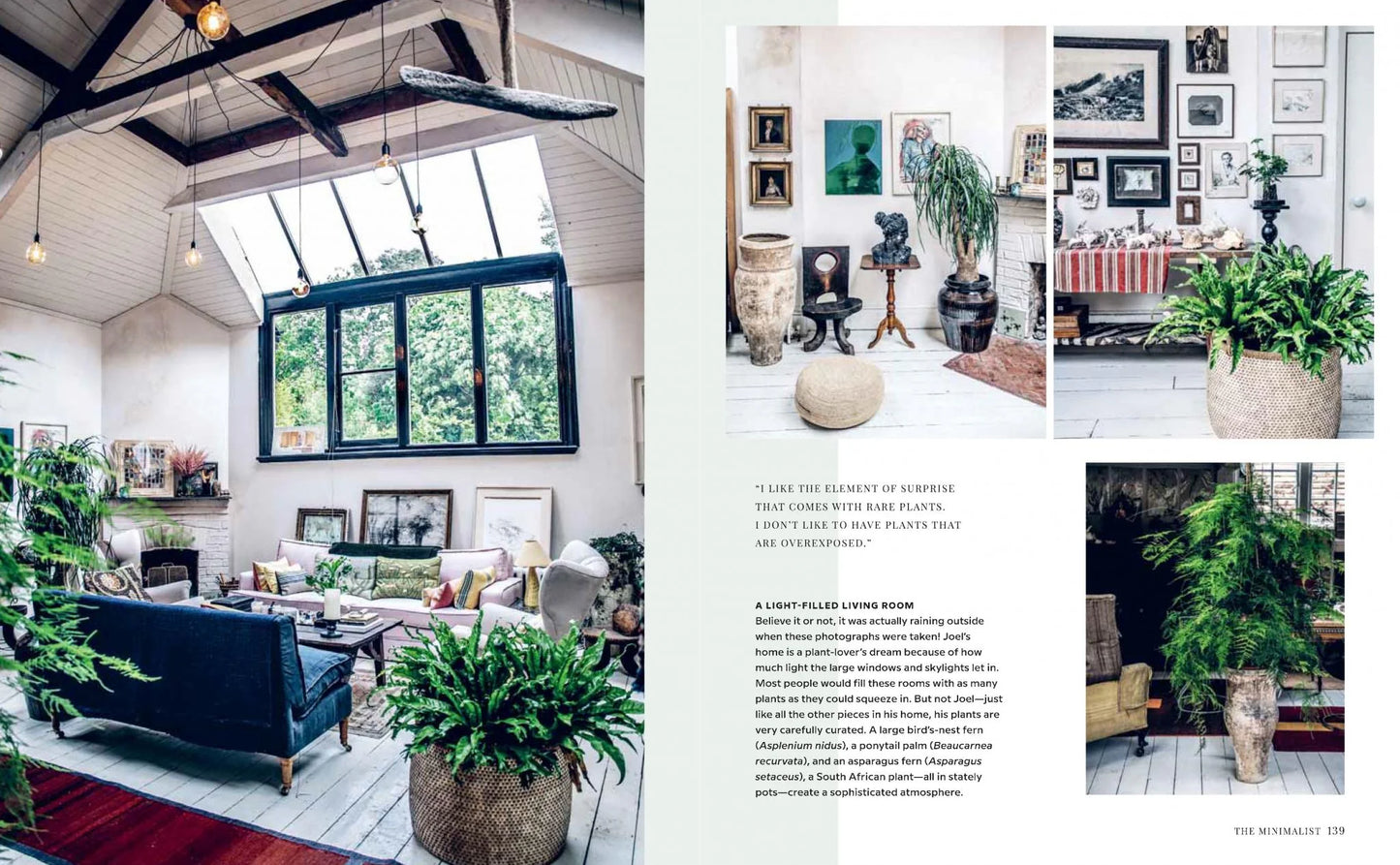 Wild Interiors Book