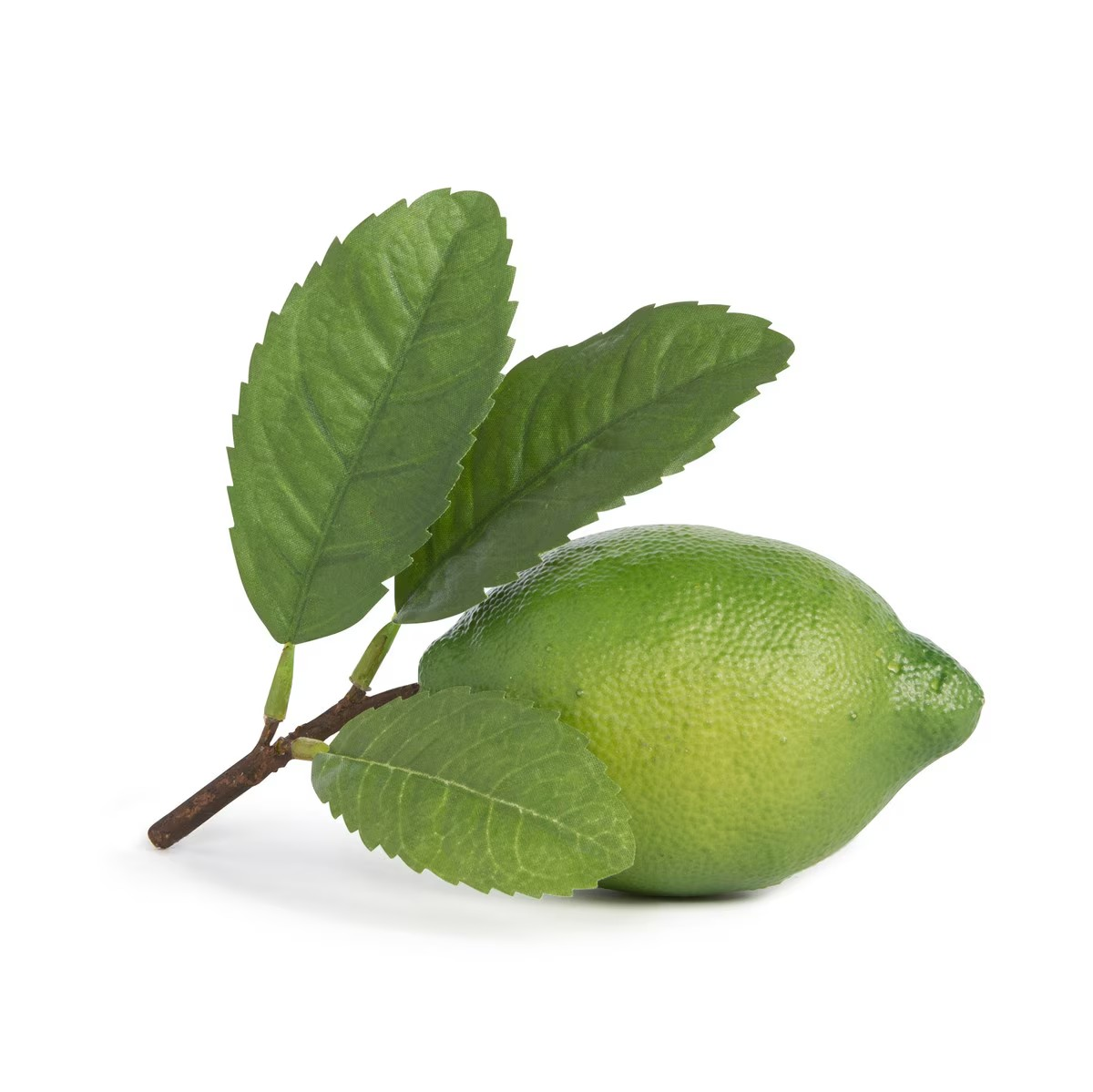Lime with Stem and Leaf