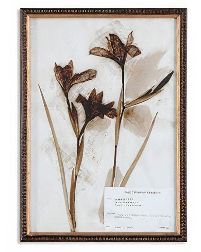 Botany Framed Print
