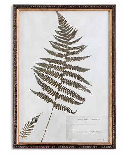 Botany Framed Print