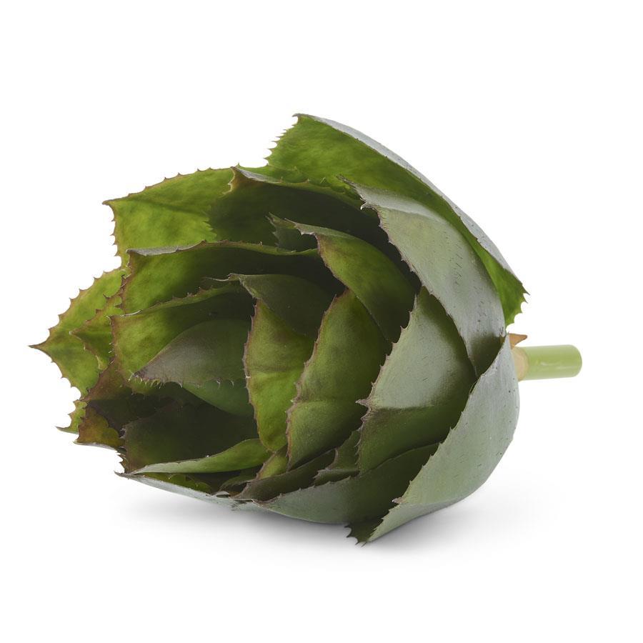 14.5 Inch Agave Stem