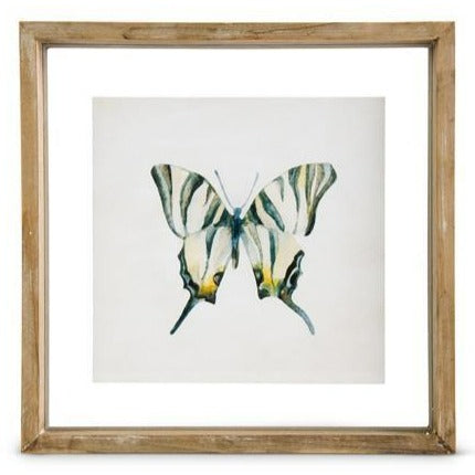 Shadowbox Framed Butterfly Print
