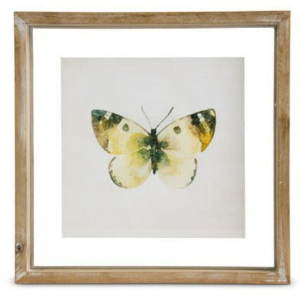 Shadowbox Framed Butterfly Print