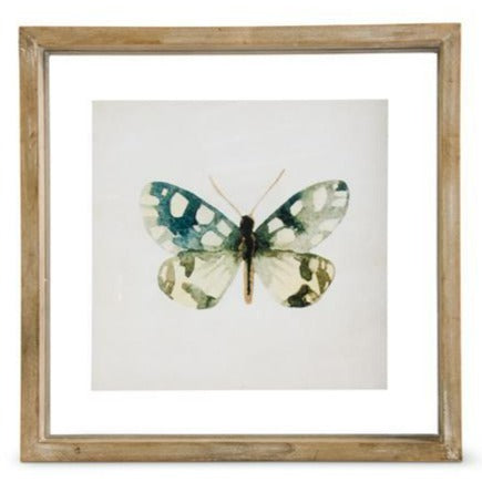 Shadowbox Framed Butterfly Print