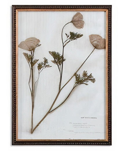Botany Framed Print