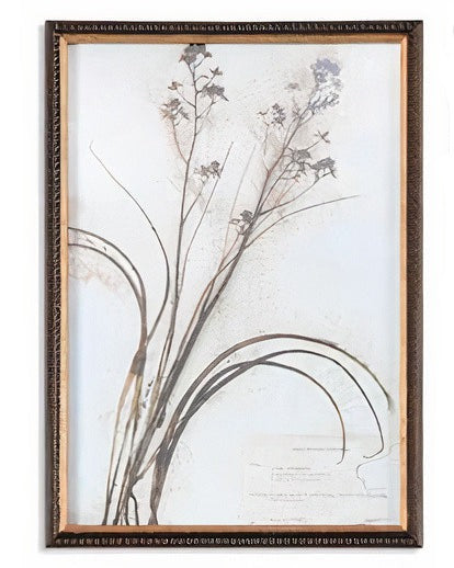 Botany Framed Print