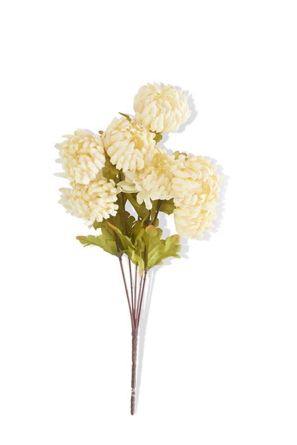 Cream Mum Ball Bush