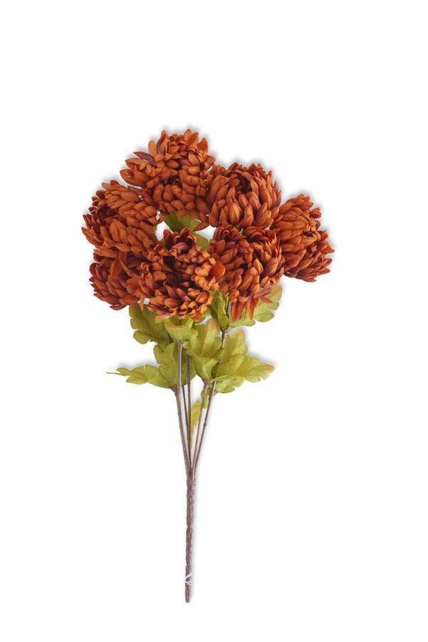 Rust Ball Mum Bush