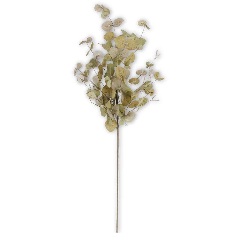 Green Two-Tone Eucalyptus Stem