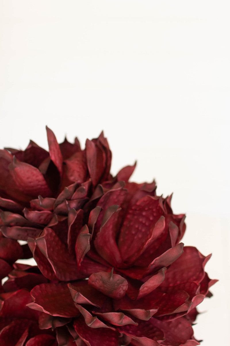 Botanica #3350