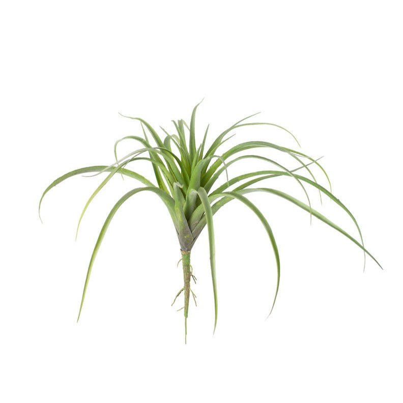 faux air plant Faux Air Plant