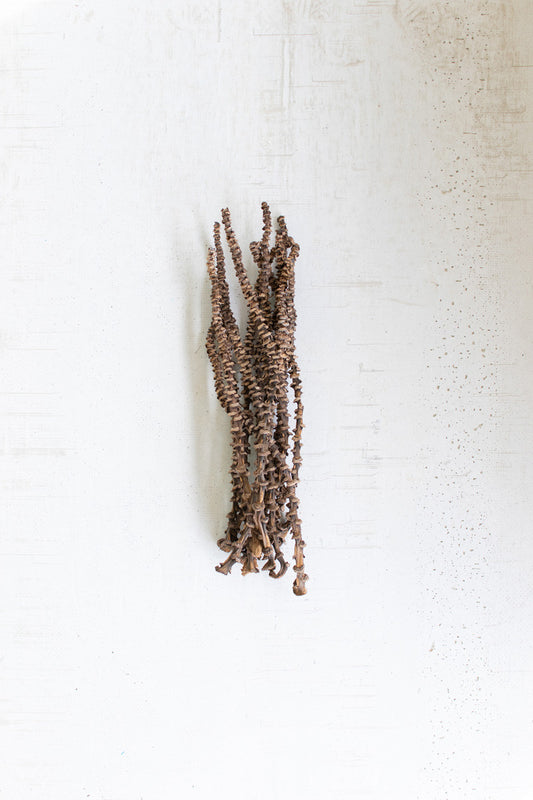 Dried Banana Stems Package of 12