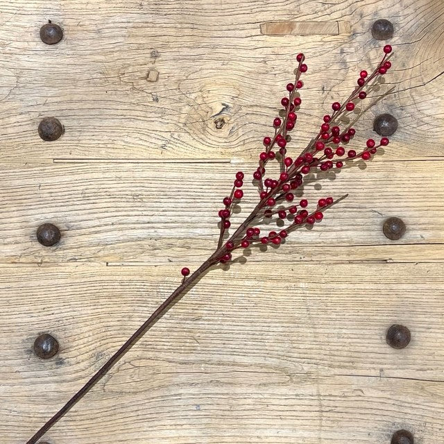 Native Ilex Berry